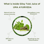 Giloy Tulsi Juice | 1 L