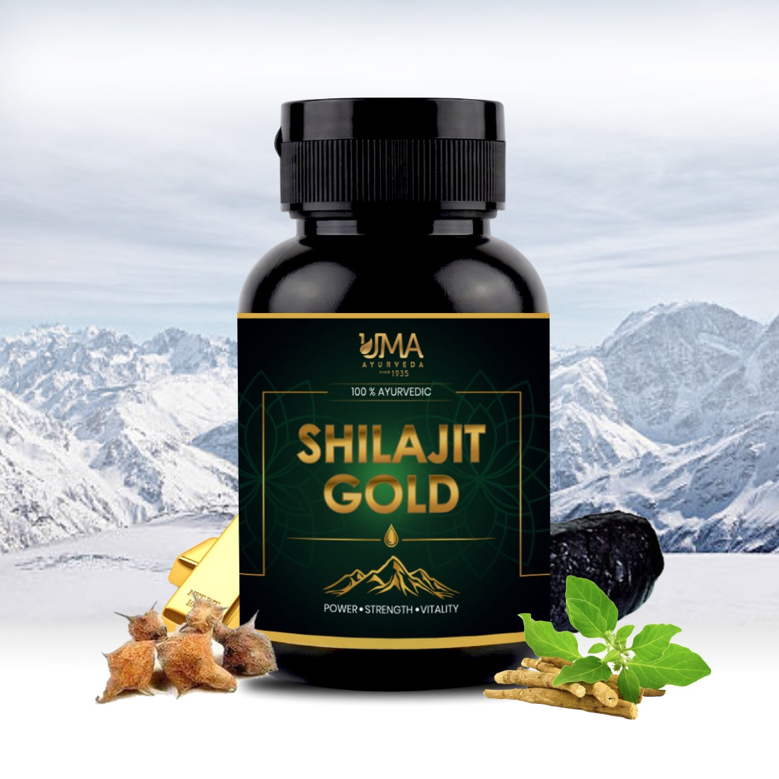 Shilajit Gold | Shilajit, Swarna, Rajat Bhasma & 7 Potent Herbs | 30 C
