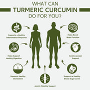 Haridra (Turmeric) Capsules |  60 Tab