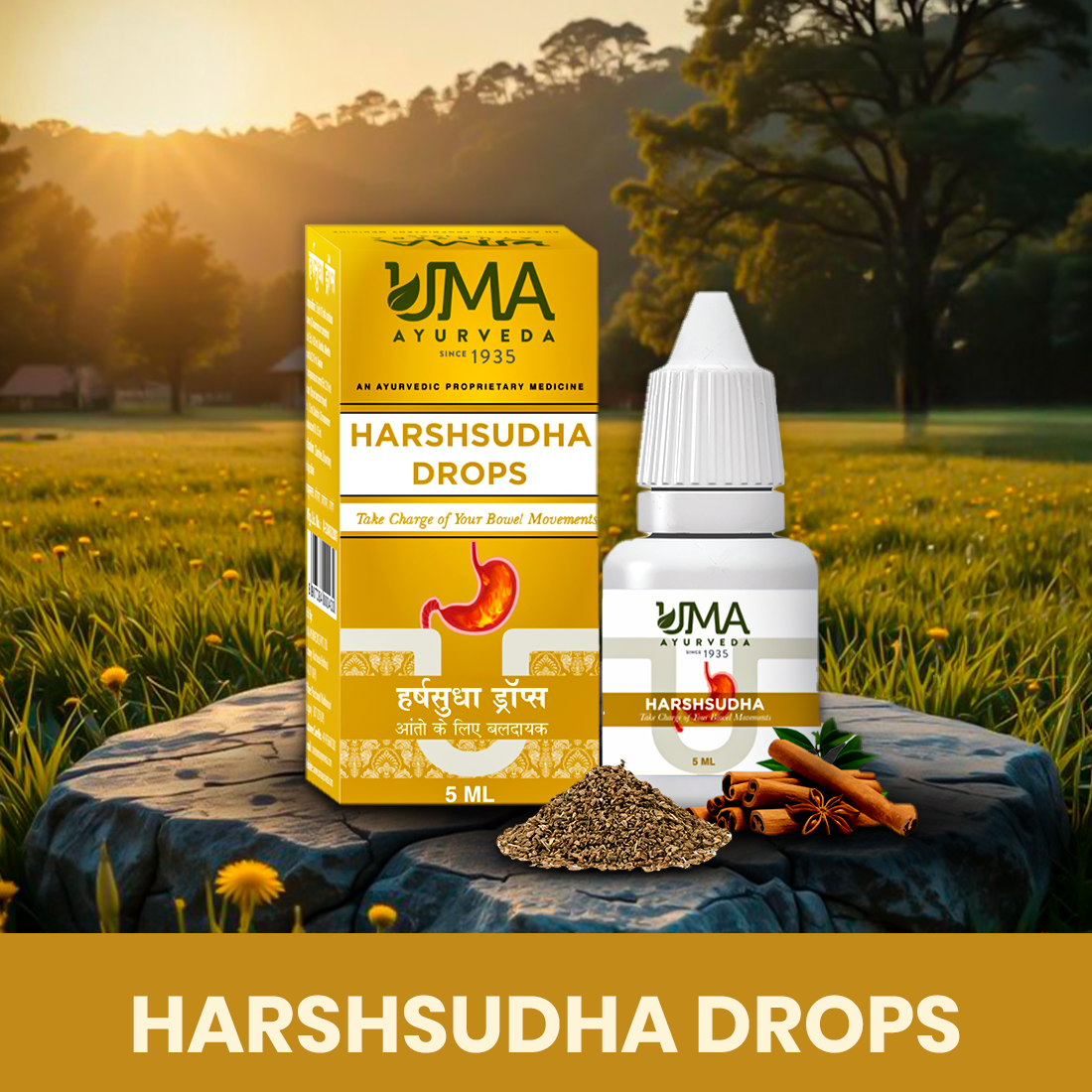 Harshsudha Drops | Digestive Care | 5 ml