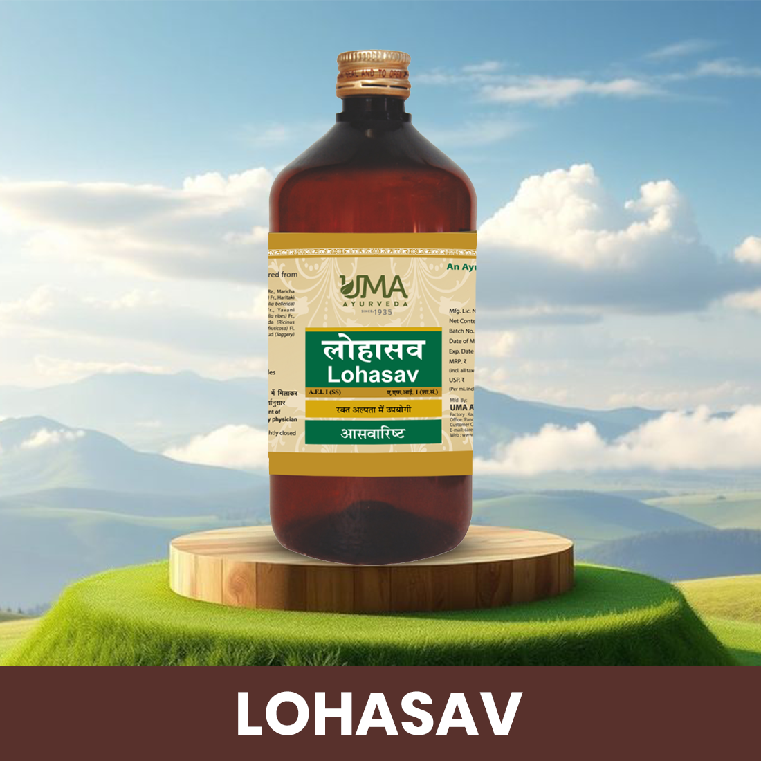 Lohasava Syrup | Iron & Blood Health Support | 450 ML