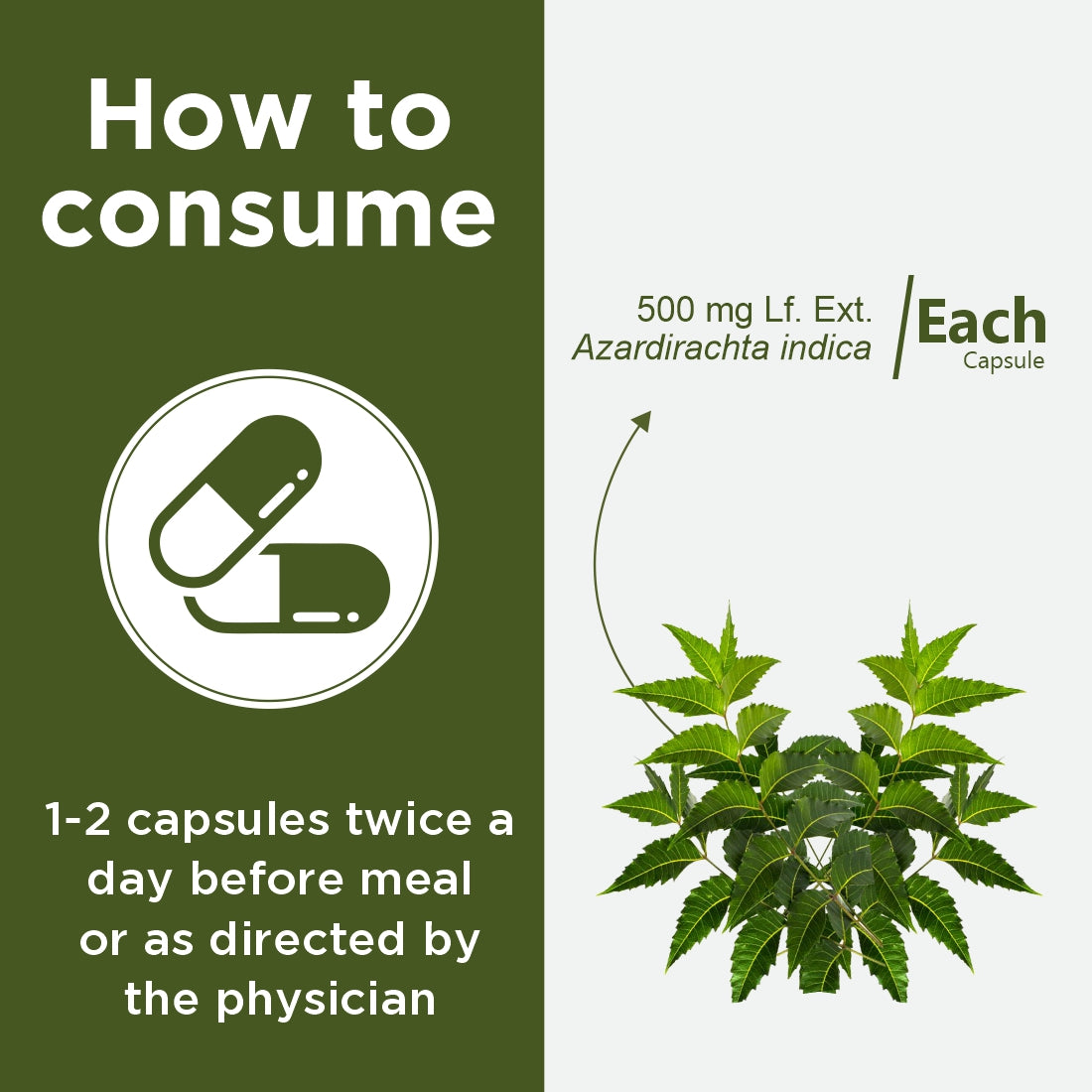 Neem Capsules | 60 Caps