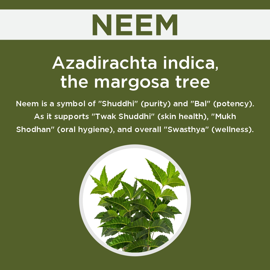 Neem Capsules | 60 Caps