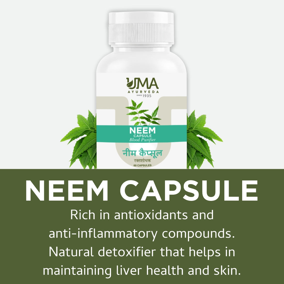 Neem Capsules | 60 Caps