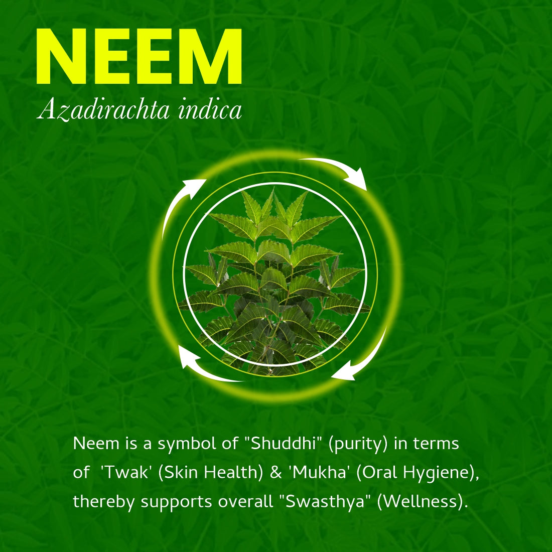 Neem Juice | Ayurvedic Wellness Product | 1 L