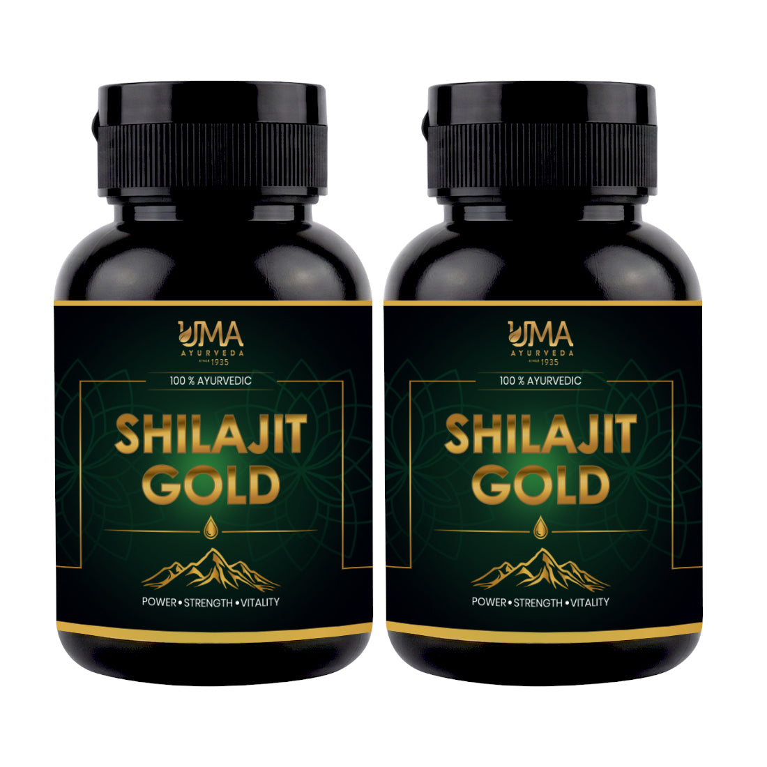 Shilajit Gold | Shilajit, Swarna, Rajat Bhasma & 7 Potent Herbs | 30 C