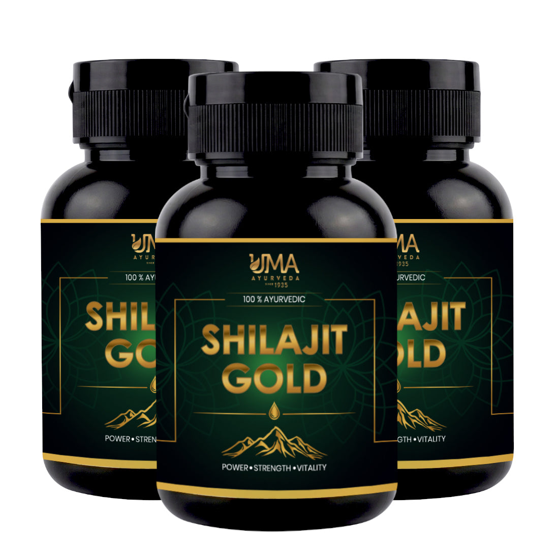 Shilajit Gold | Shilajit, Swarna, Rajat Bhasma & 7 Potent Herbs | 30 C