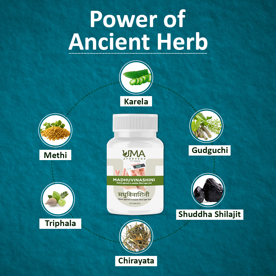 Madhuvinashini | Made with 10+ Herbs | 120 Tab