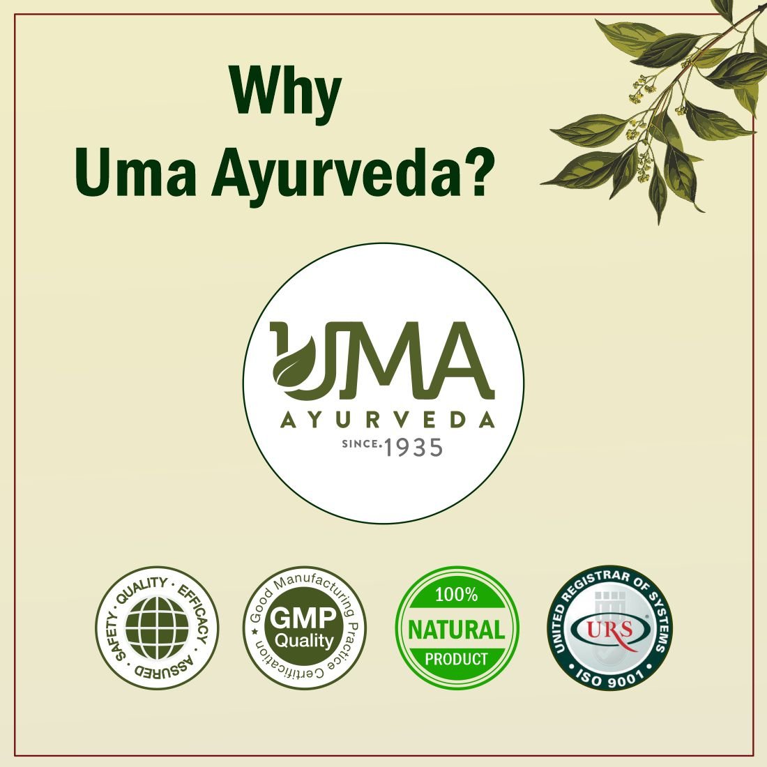 Uma Ayurveda Punarnavadi Mandur