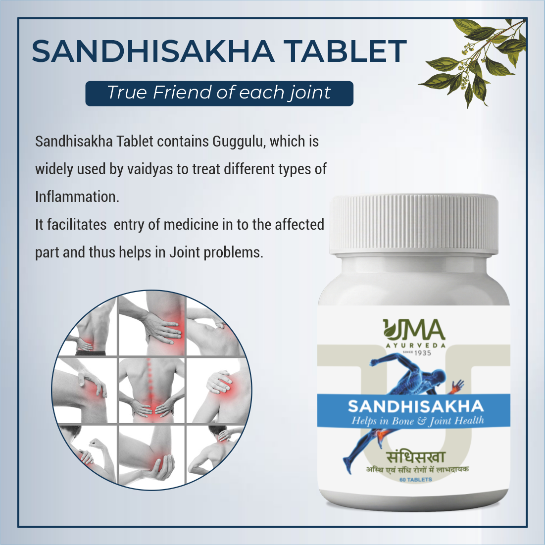 Sandhisakha Tablets | 60 Tab