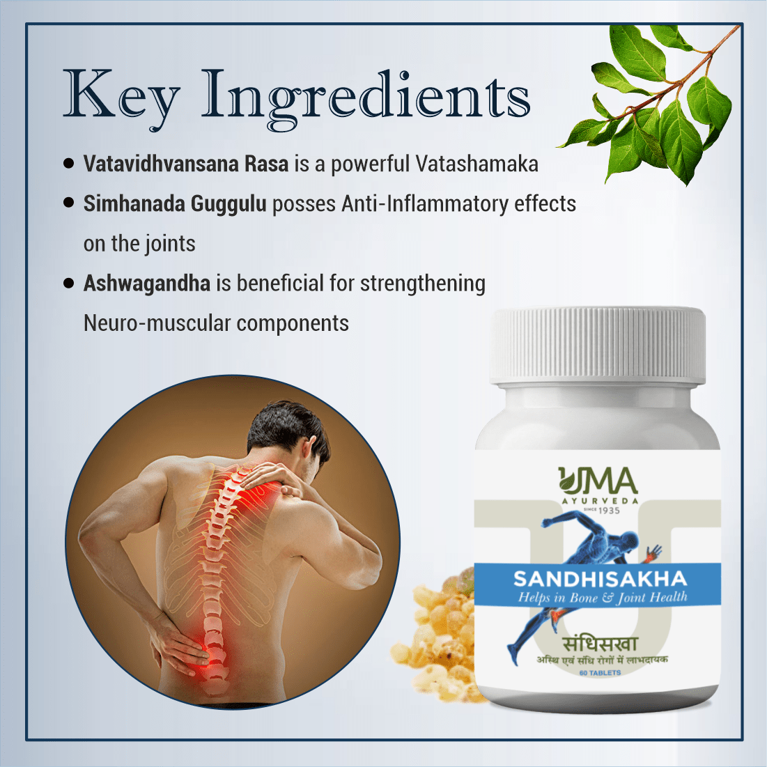 Sandhisakha Tablets | 60 Tab
