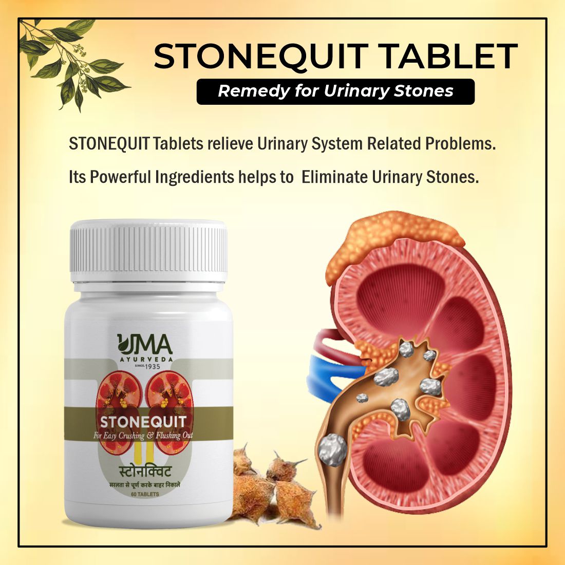 Stonequit | Urinary Wellness | 60 Tablets