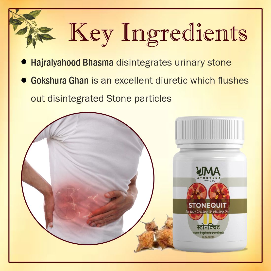 Stonequit | Urinary Wellness | 60 Tablets