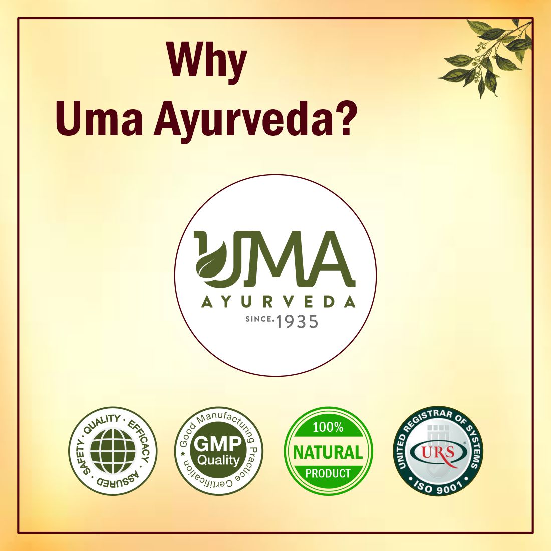 Stonequit | Urinary Wellness | 60 Tablets