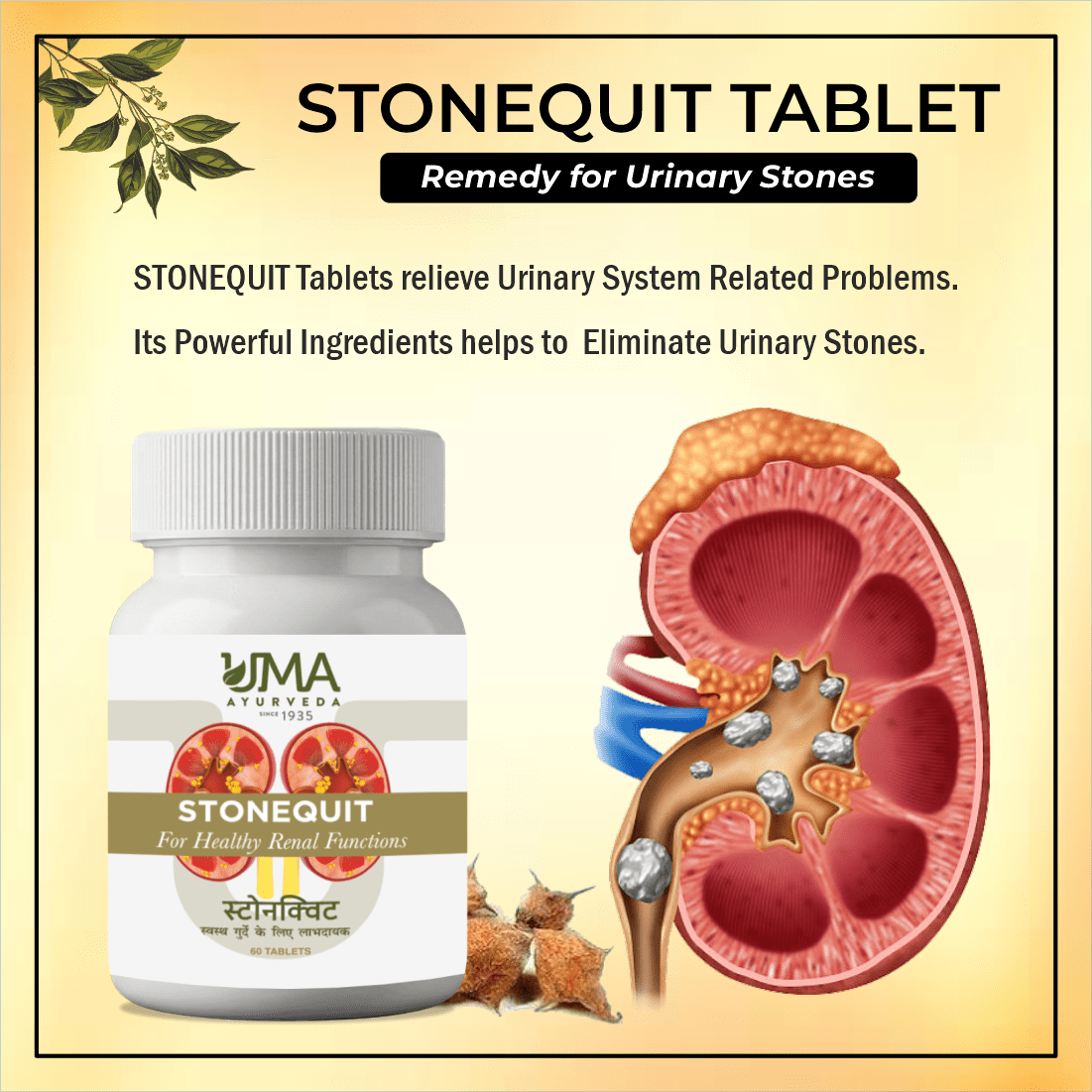 Stonequit | Urinary Wellness | 60 Tablets