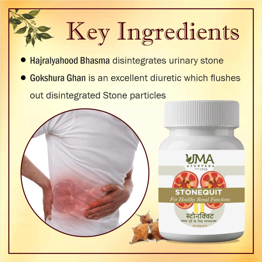 Stonequit | Urinary Wellness | 60 Tablets