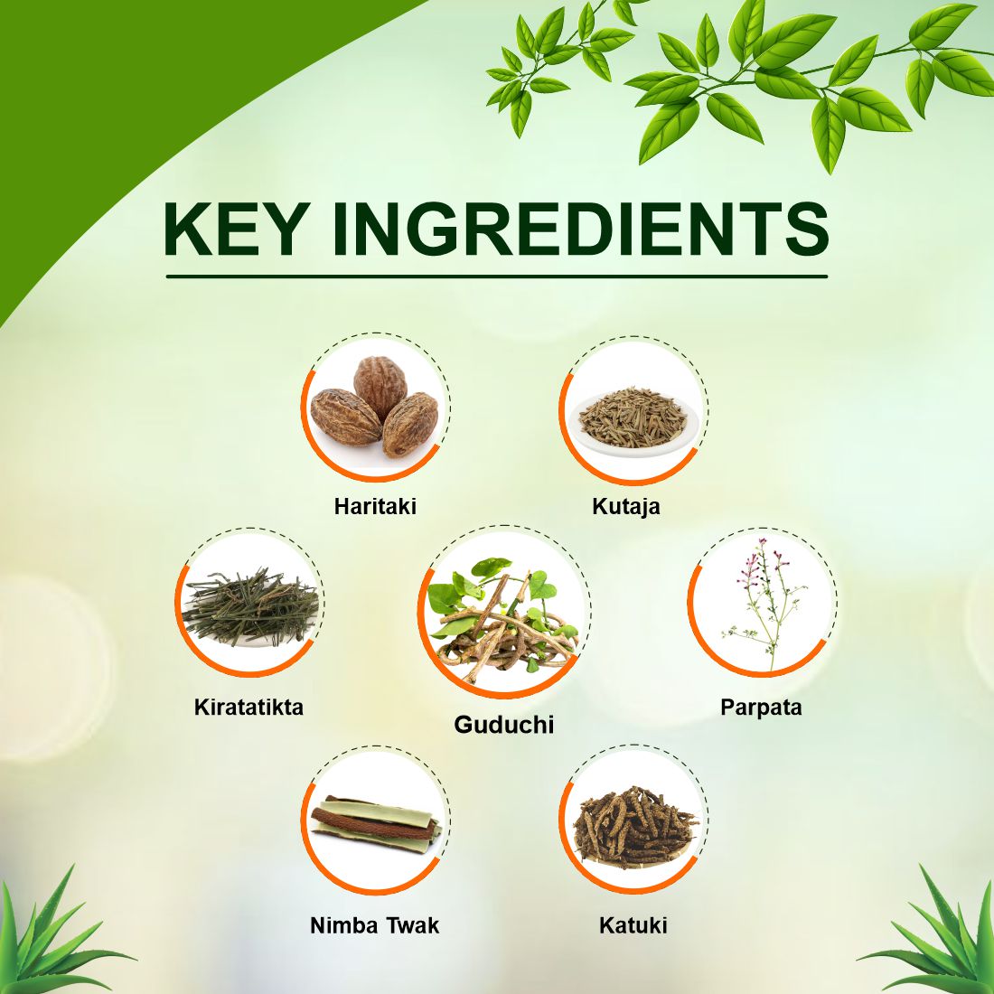 Uma Sudarshan Ghanvati Tablets