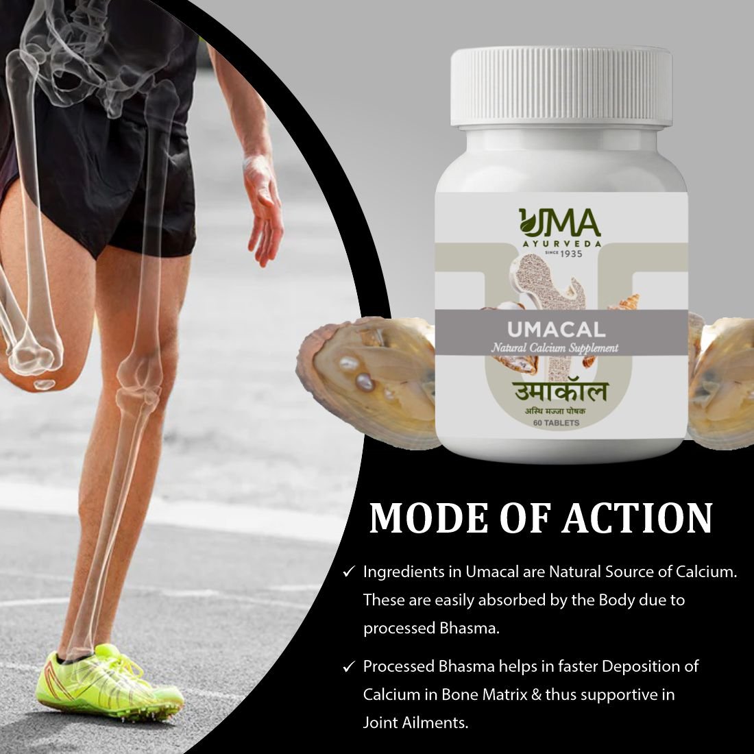 Umacal | Ayurvedic Calcium Formula | 60 Tab