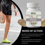 Umacal | Ayurvedic Calcium Formula | 60 Tab