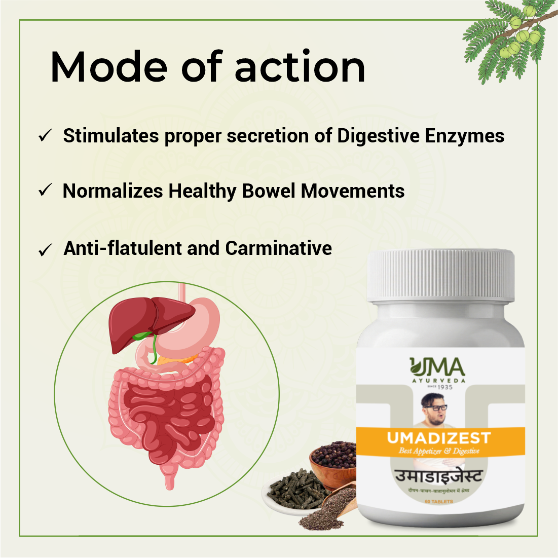 Umadizest | Digestive Care | 60 Tab